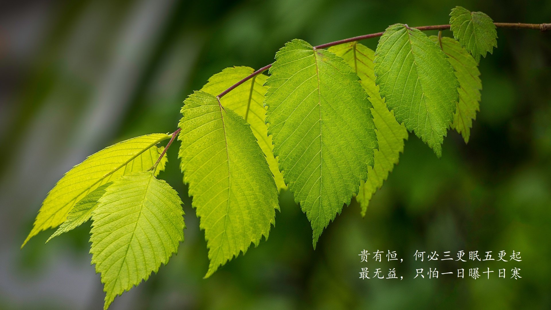 _离线与线上结合：赛事观看体验的未来_，离线和在线不同