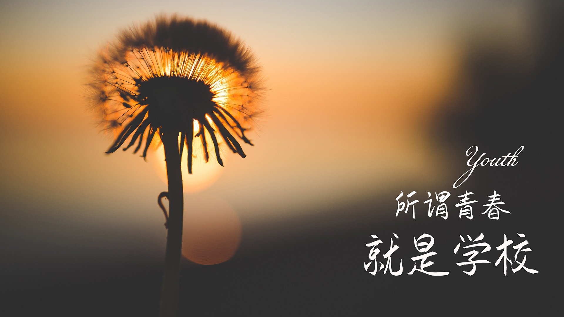 华体会hth登录地址-_魔术队逆境奋战,绝杀战果震惊联盟_,魔术队2020