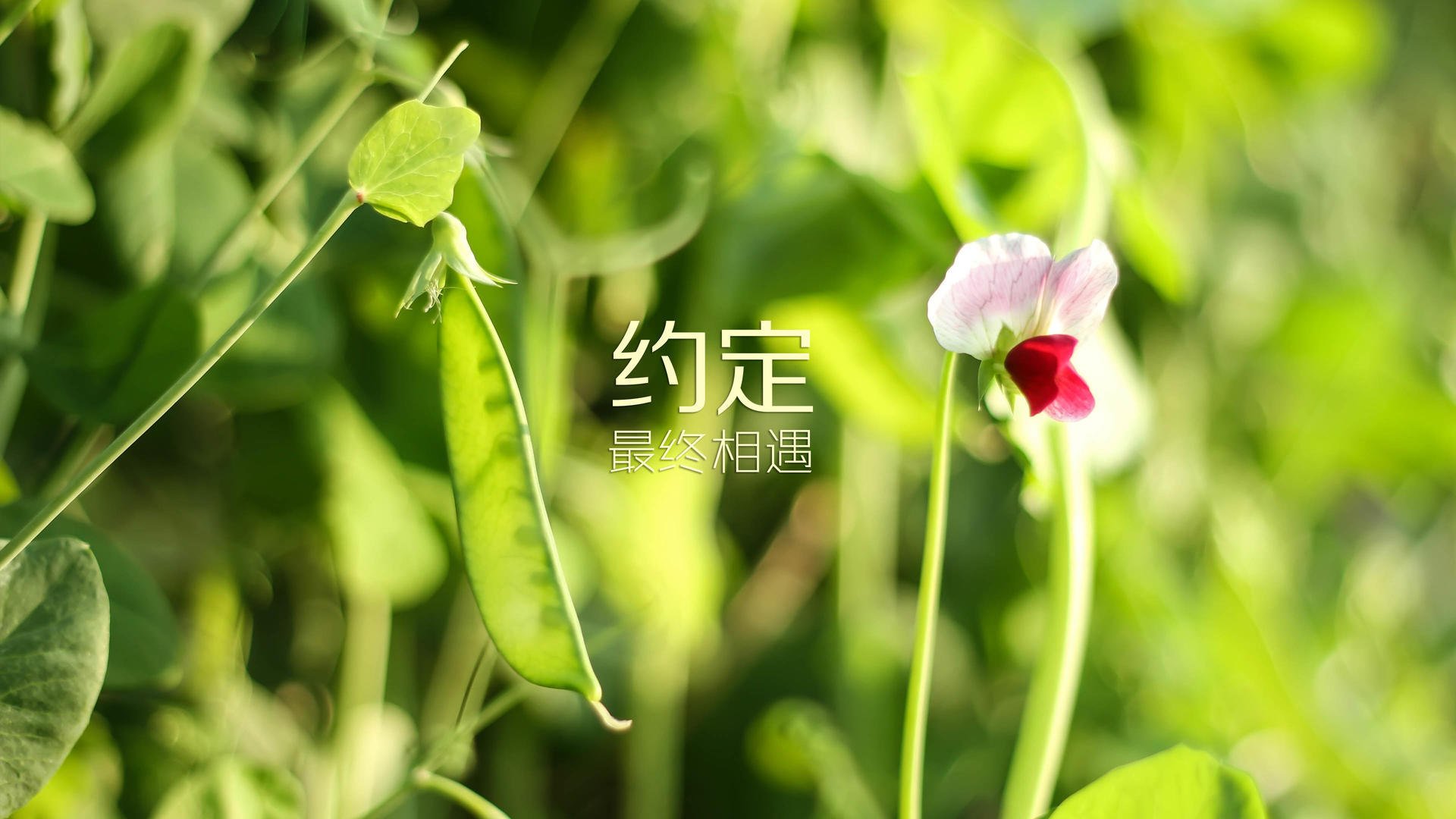 【运动员训练】科学规划，提高比赛状态的五大技巧，如何提高运动员的比赛成绩