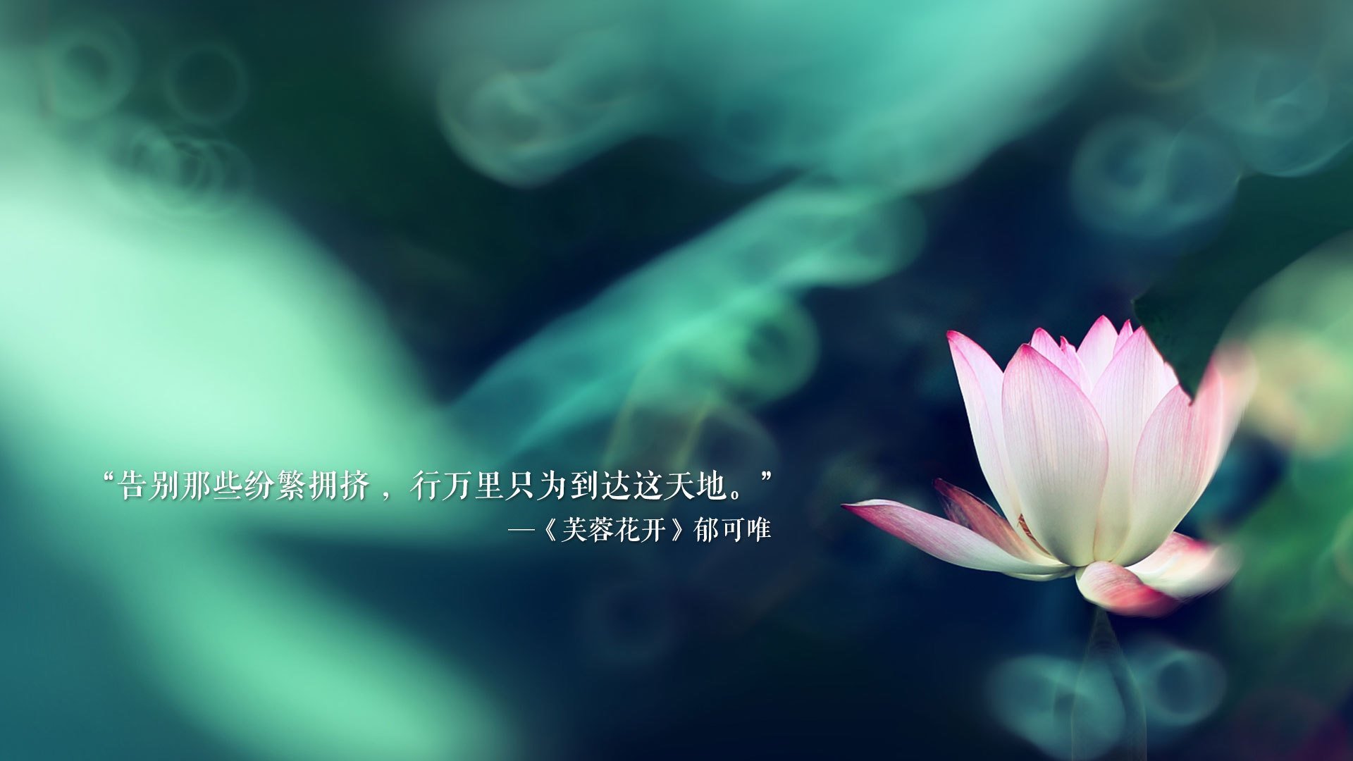 传统民族溜溜球竞技，展现民间技艺与运动魅力，溜溜球的基本知识