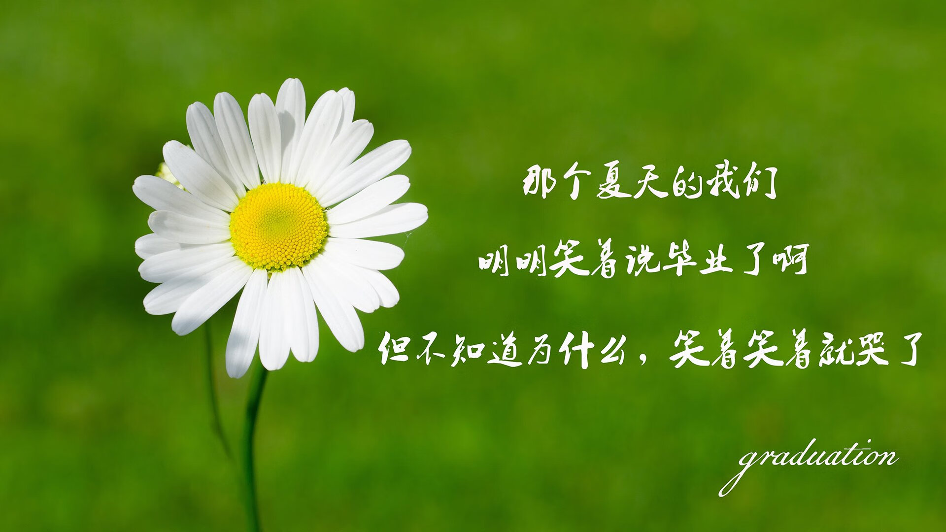 篮球公益培训项目覆盖乡村地区，公益篮球训练营