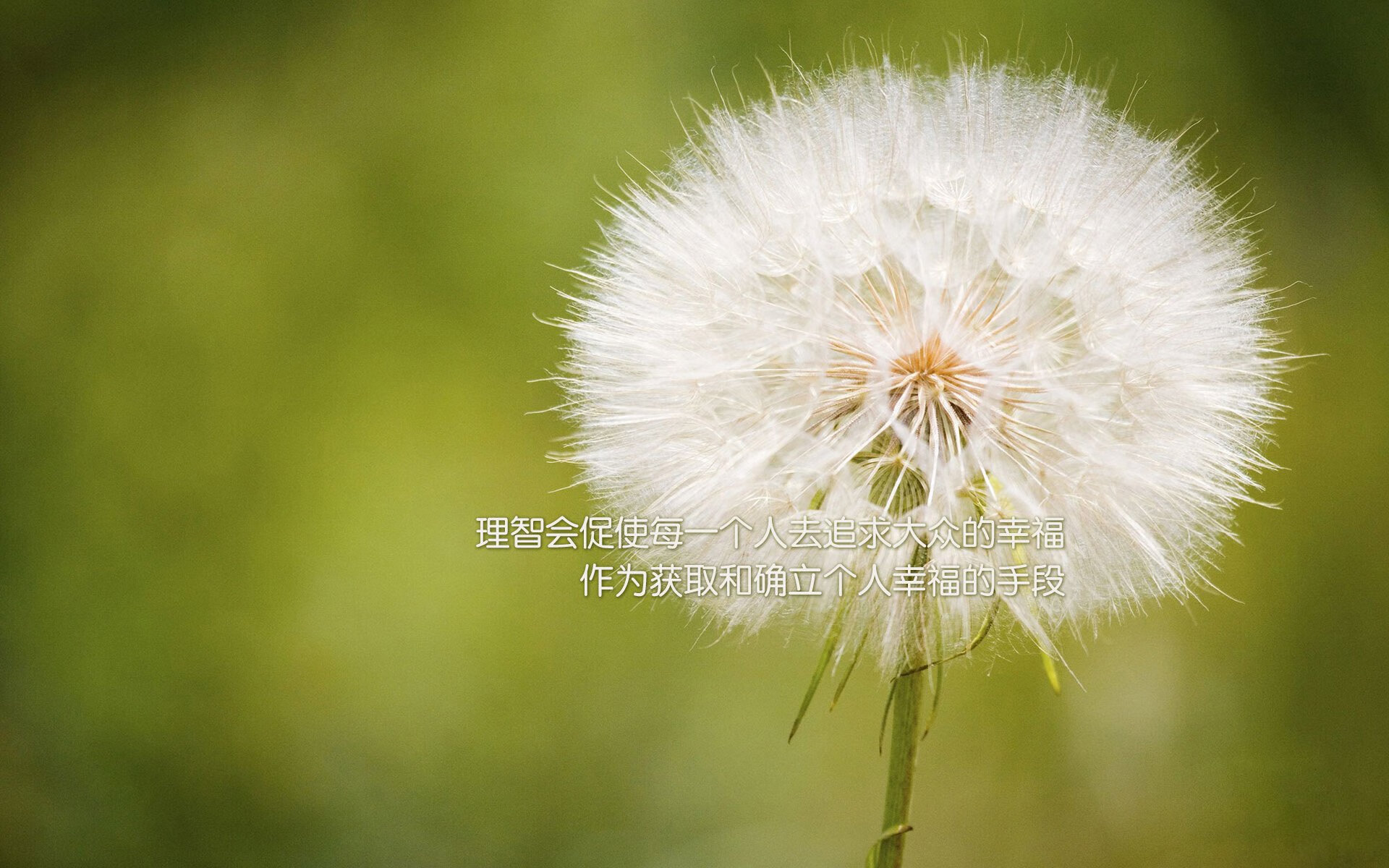 羽毛球教练员国际认证培训班在广州举办，羽毛球教练员培训证书查询