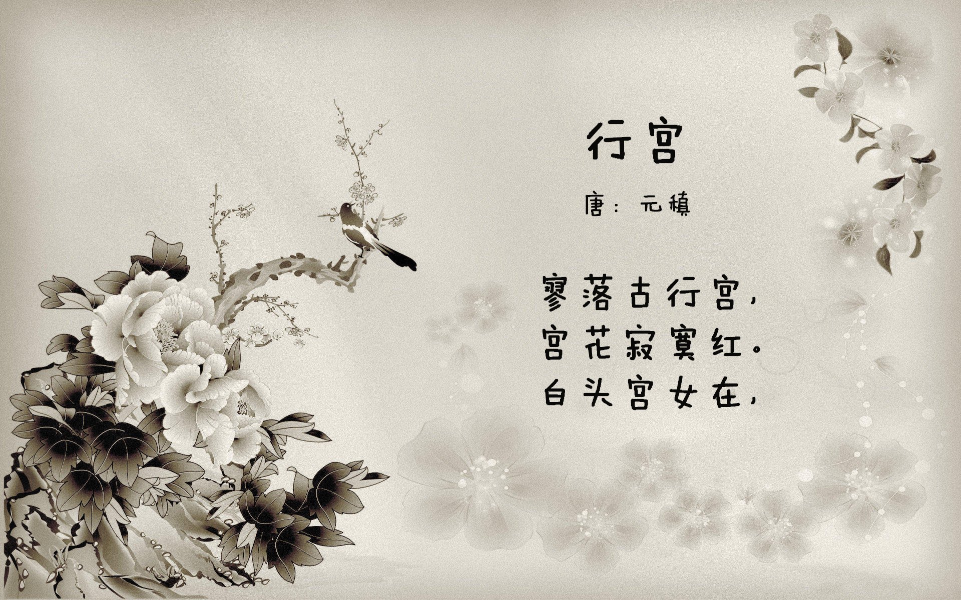 华体会hth登录-女足世界杯技战术报告发布,女足世界杯比赛用球评测