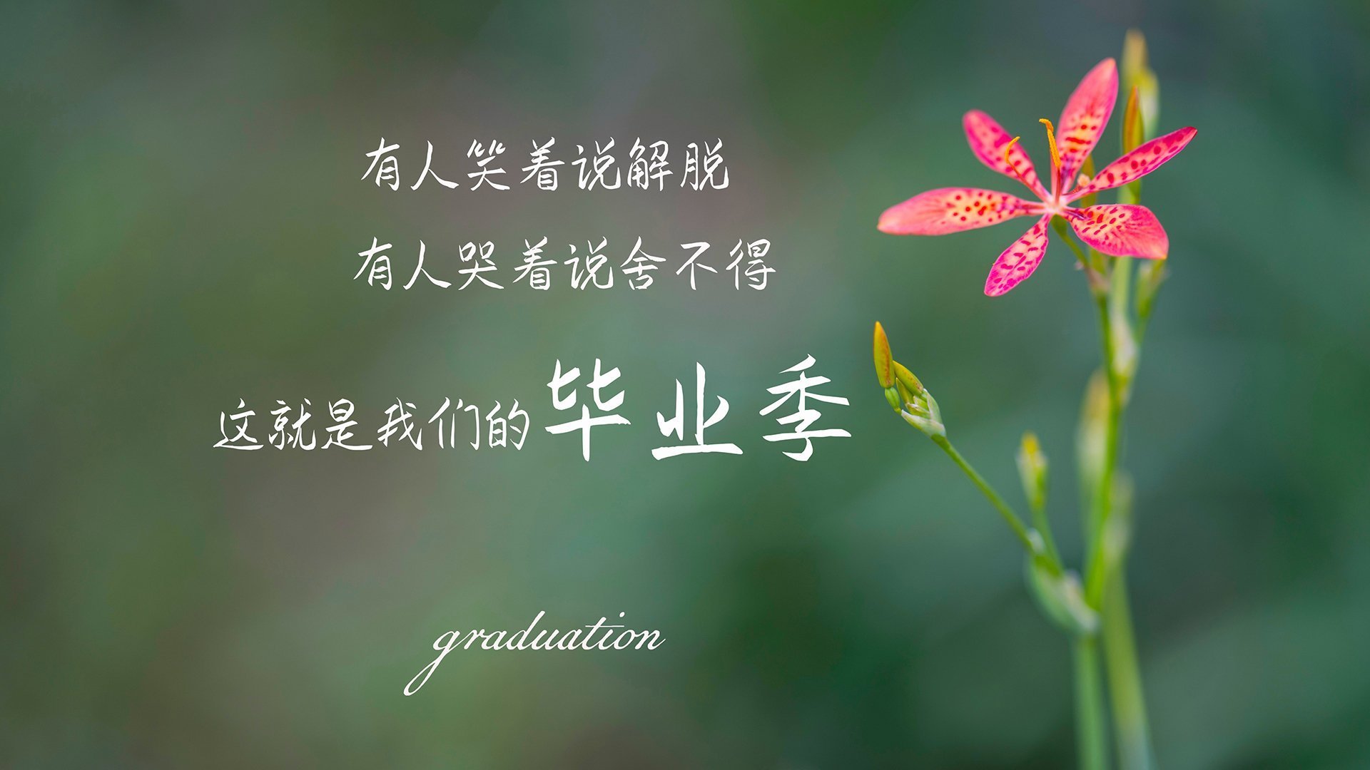 米兰年轻球员表现出色，米兰的球员