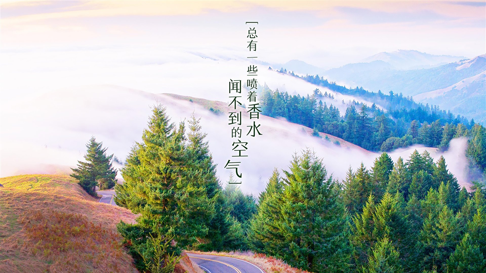 “腰旗橄榄球：东部新区赛场挑战极限，成为赛季亮点”